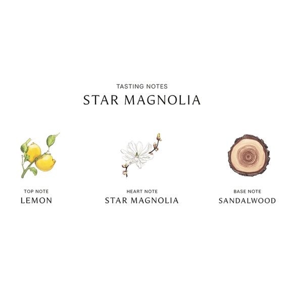 JO MALONE LONDON Star Magnolia Blossom 1.7 oz - Picture 2 of 4